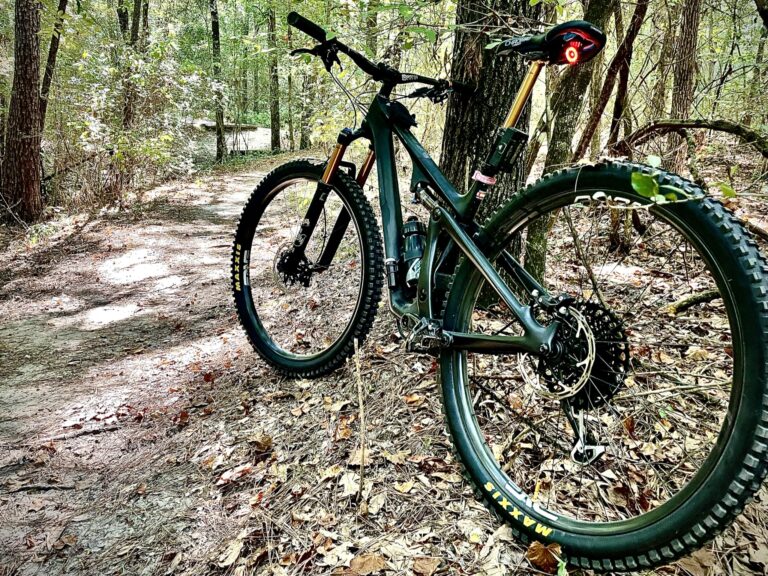 Full Throttle: Why I Switched to an EMTB